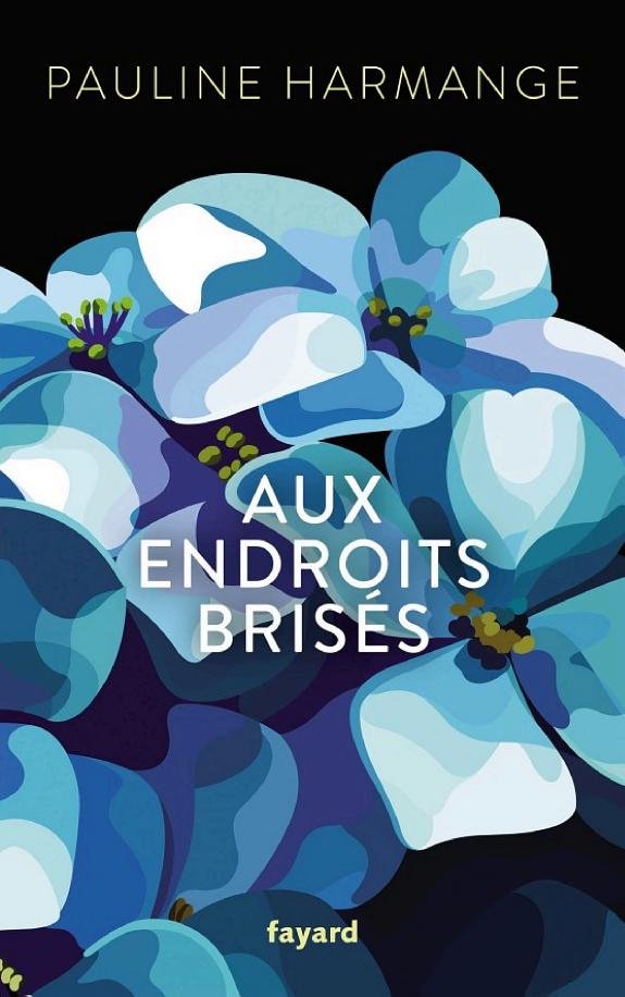 Couverture - Aux endroits brisés